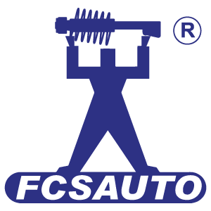 Complete Strut Assemblies | FCS Automotive International